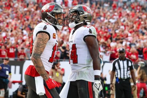 Jan 1, 2023; Tampa, Florida, USA; Tampa Bay Buccaneers wide receiver Chris Godwin (14) congratulates wide receiver Mike Evans (13) after scoring a touchdown against the Carolina Panthers in the fourth quarter at Raymond James Stadium.