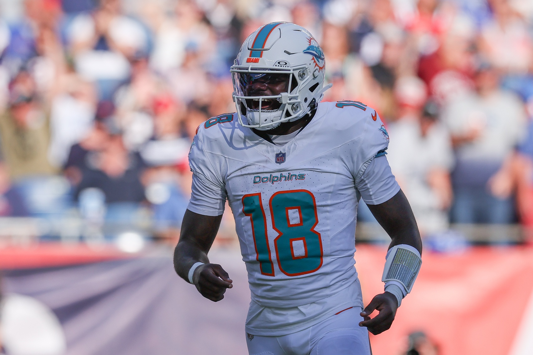 Oct 6, 2024; Foxborough, Massachusetts, USA; Miami Dolphins quarterback Tyler Huntley (18) celebrates after a touchdown during the second half against the New England Patriots at Gillette Stadium.