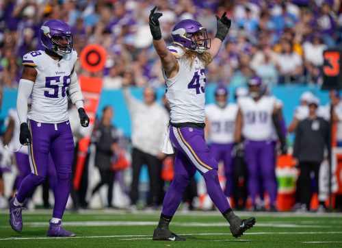 Minnesota Vikings linebacker Andrew Van Ginkel (43) celebrates his sack of Tennessee Titans quarterback Will Levis (8) during the second quarter at Nissan Stadium in Nashville, Tenn., Sunday, Nov. 17, 2024.