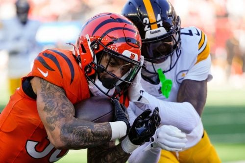 Cincinnati Bengals running back Chase Brown (30) is knocked out of bounds short of the goal line by Pittsburgh Steelers cornerback Joey Porter Jr. (24) in the first quarter of the NFL Week 13 game between the Cincinnati Bengals and the Pittsburgh Steelers at Paycor Stadium in downtown Cincinnati on Sunday, Dec. 1, 2024.